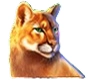 cougar symbol