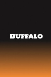 free buffalo slot game online