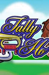 tally ho slot game