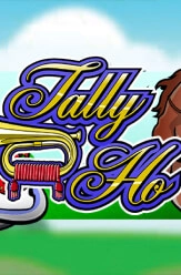 tally ho slot game