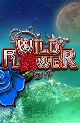 wild flower slot demo