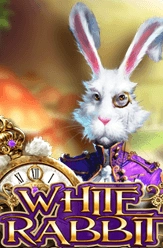 white rabbit free slot