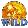 Wild Symbol